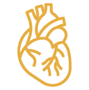 Protección cardiovascular